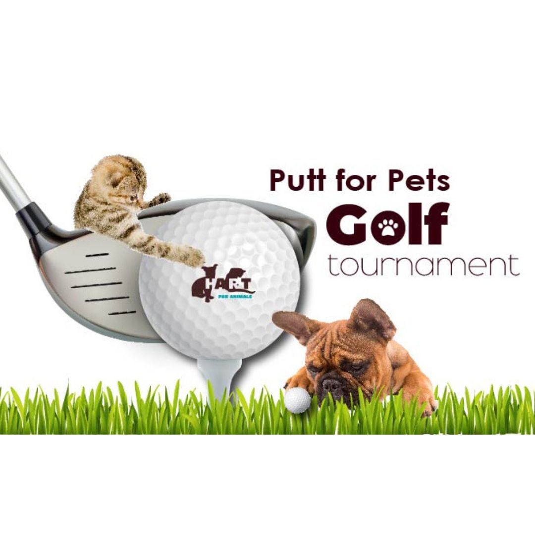 Putt for Pets Golf Tournament at Thousand Acres Golf Club (Deep Creek Lake, MD)