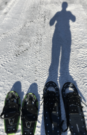 Ranger-led Snowshoe Experiences