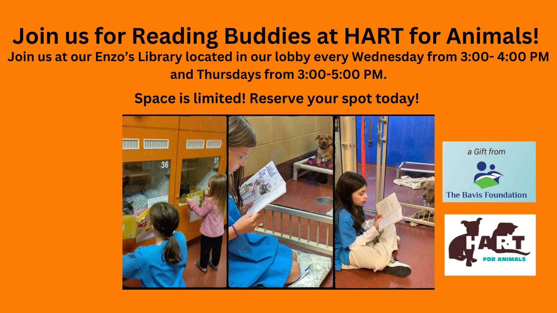 Reading Buddies at HART for Animals, Deep Creek Lake, MD