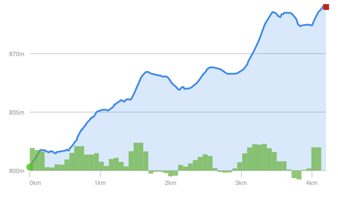 Elevation Profile - Trail 02 (Savage River State Forest)