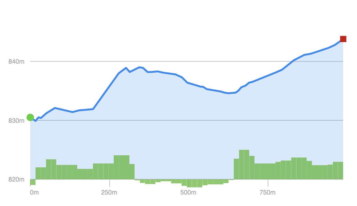 Savage River State Forest - Trail 06 Elevation Profile - Trail 06 (Savage River State Forest)