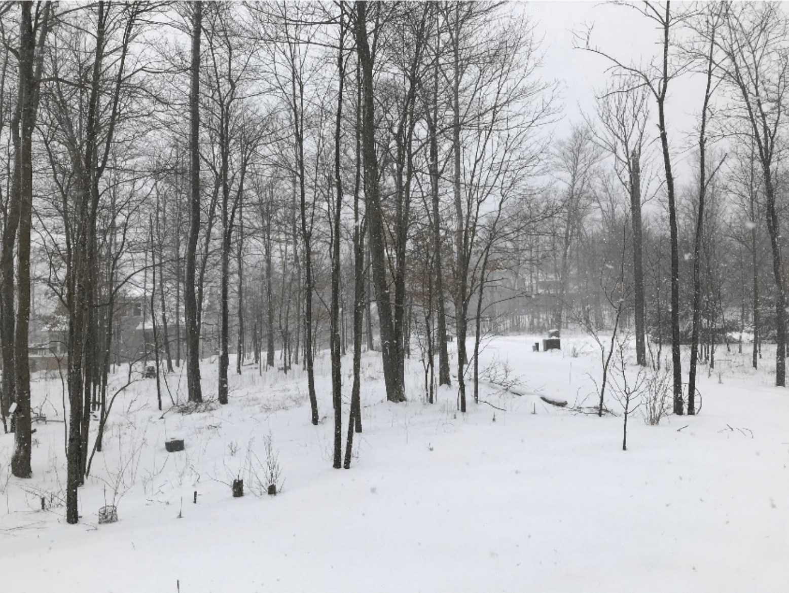 Mike's Backyard in Deep Creek Lake, MD on the first day of spring