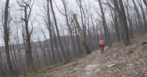Pat Hammy Bikes at Deep Creek Lake State Park