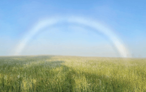 Fogbow 6-22-20 Charles Walch