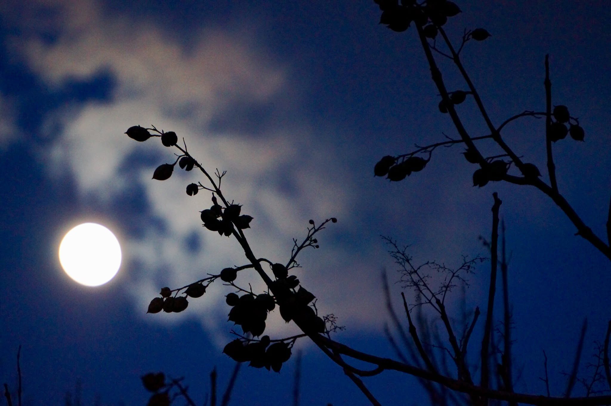 Self-Guided Haunted Hike
