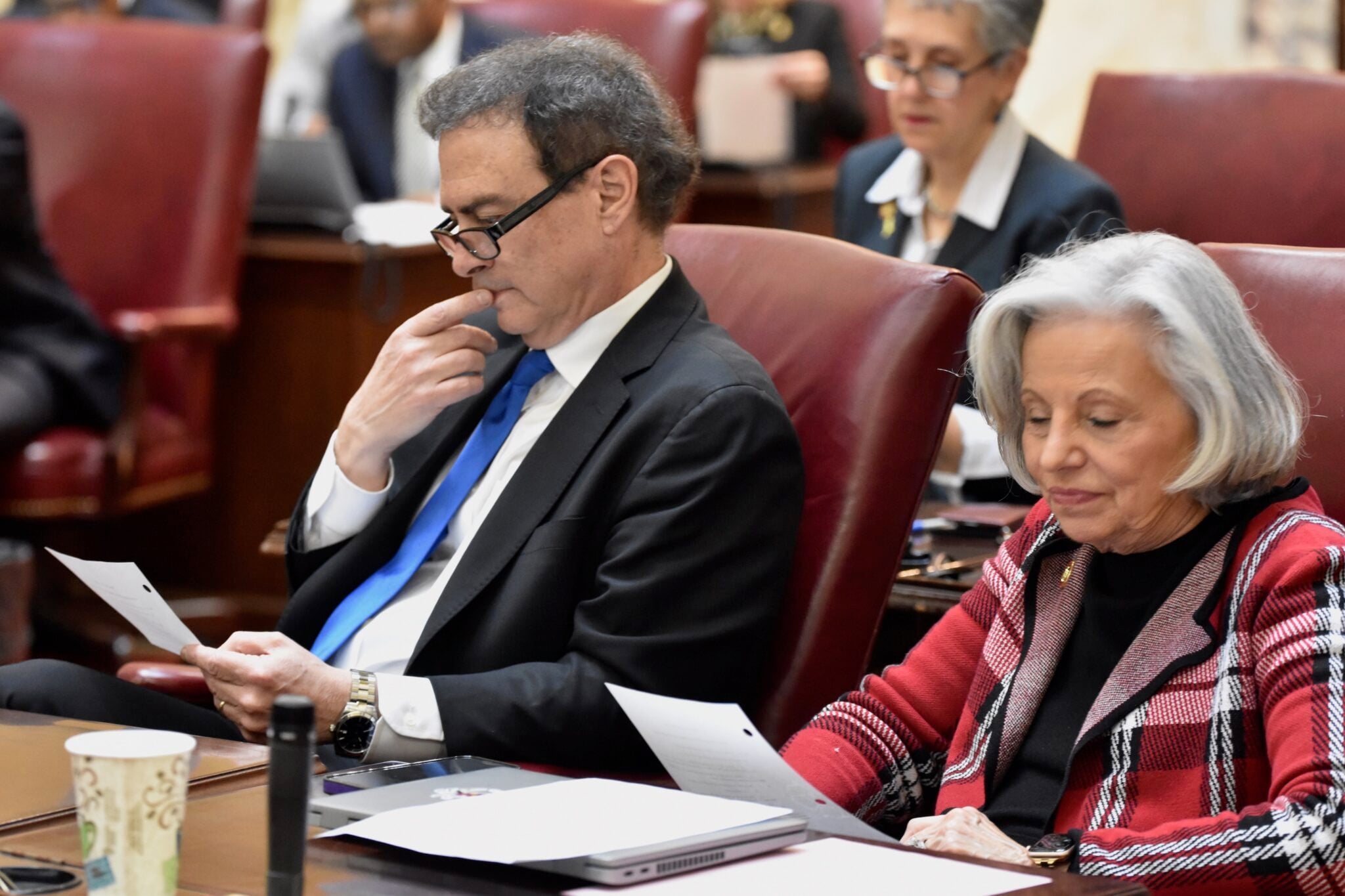 Senate Looks to Streamline Session by Limiting the Number of Bills (Deep Creek Lake, MD)