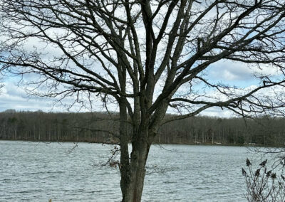 Deep Creek Daily Notes Blog April 8