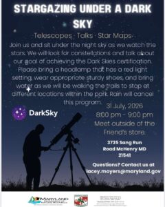 Star Gazing Under a Dark Sky
