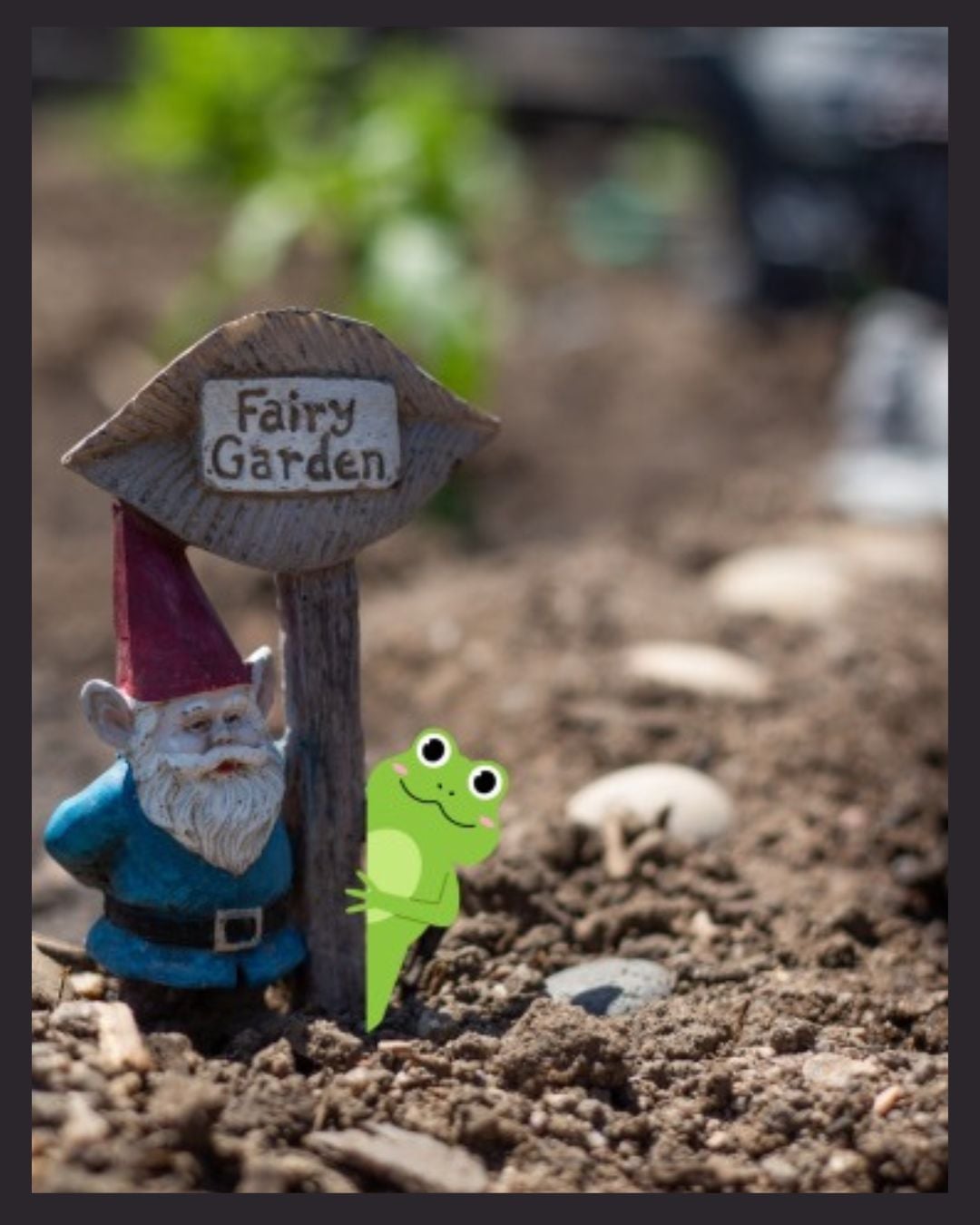 Student Discovery Series Fairy Frog Garden Class
