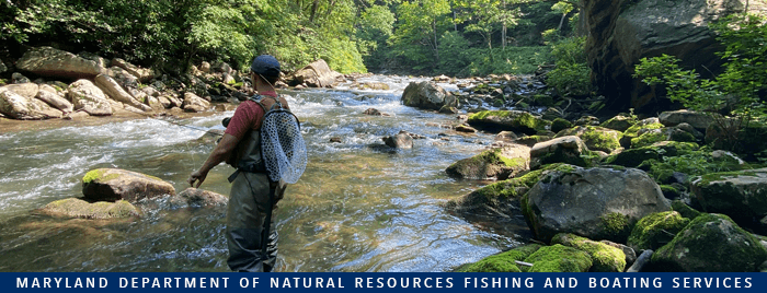 Summer Trout Fishing Guidance at Deep Creek Lake, MD