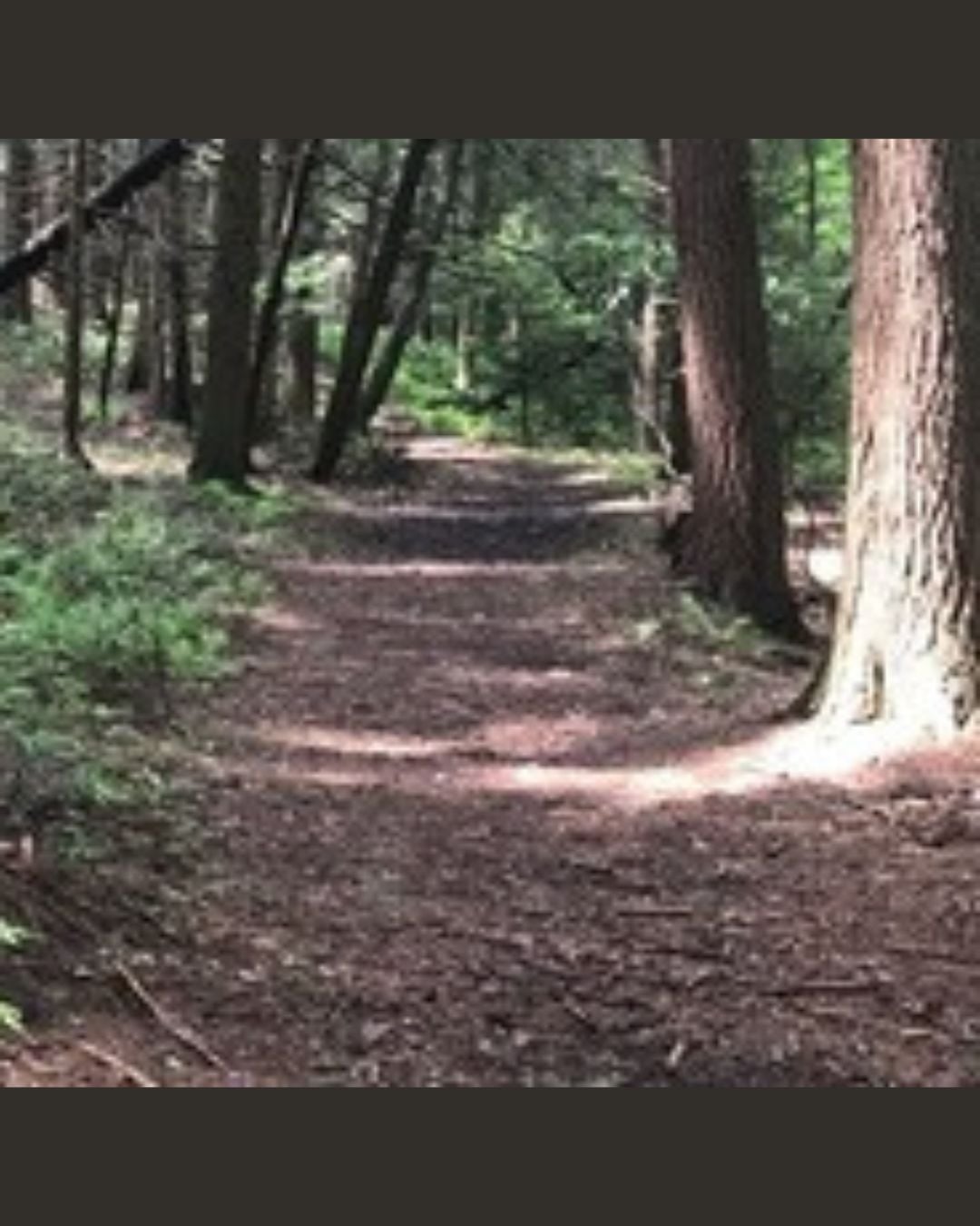 Sunday Morning Nature Hike