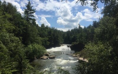 Day-Use Reservations Now Required for Swallow Falls State Park