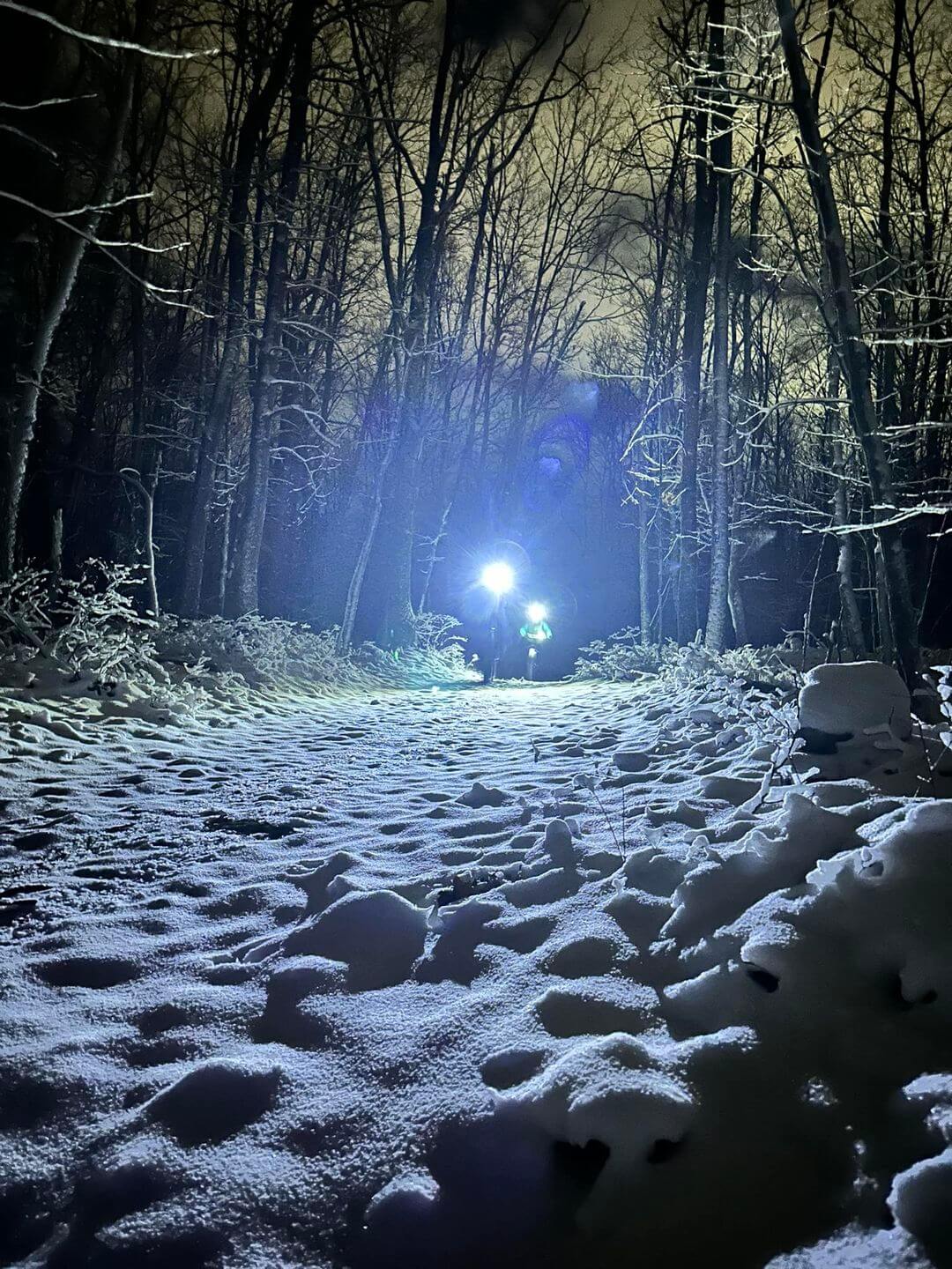 'This the Season! Holiday Night Hike and:or Bike at Deep Creek Lake, MD