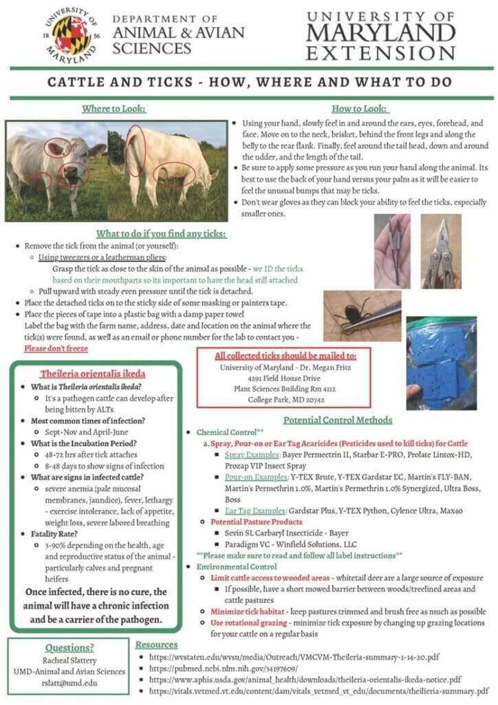 Tick Problem in Cattle Spreading (Deep Creek Lake, MD)
