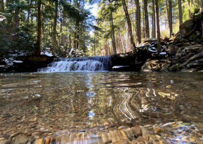 Tolliver Falls: A Hidden Gem in Swallow Falls State Park