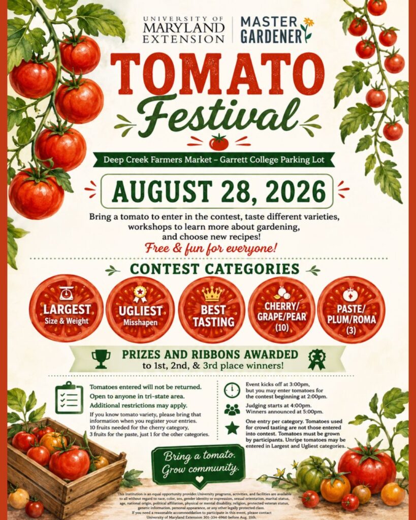 Tomato Festival