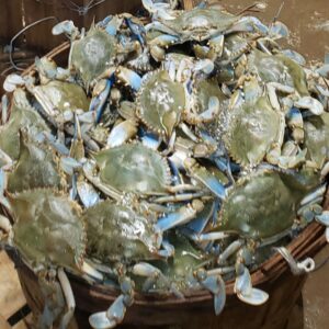 Trout's House Seafood (Featured Image)