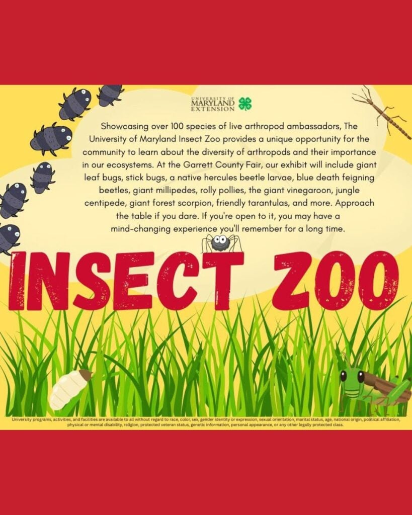 University of Maryland Insect Zoo