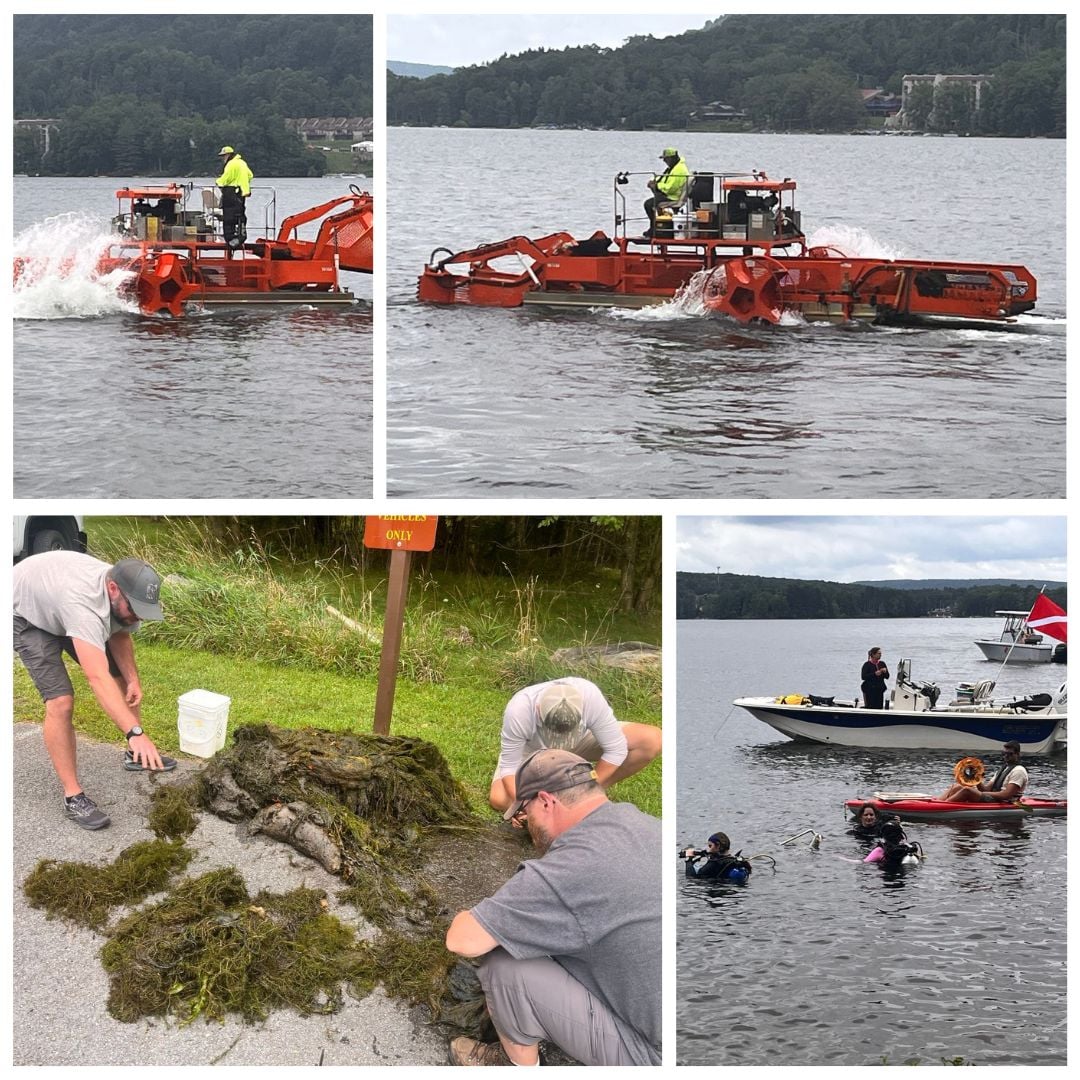 Update on SAV Control for Deep Creek Lake