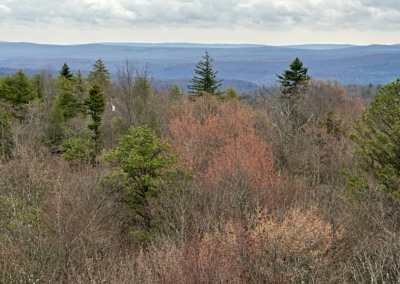 “Up to the Bottom Bracket” Ride from Olson Fire Tower