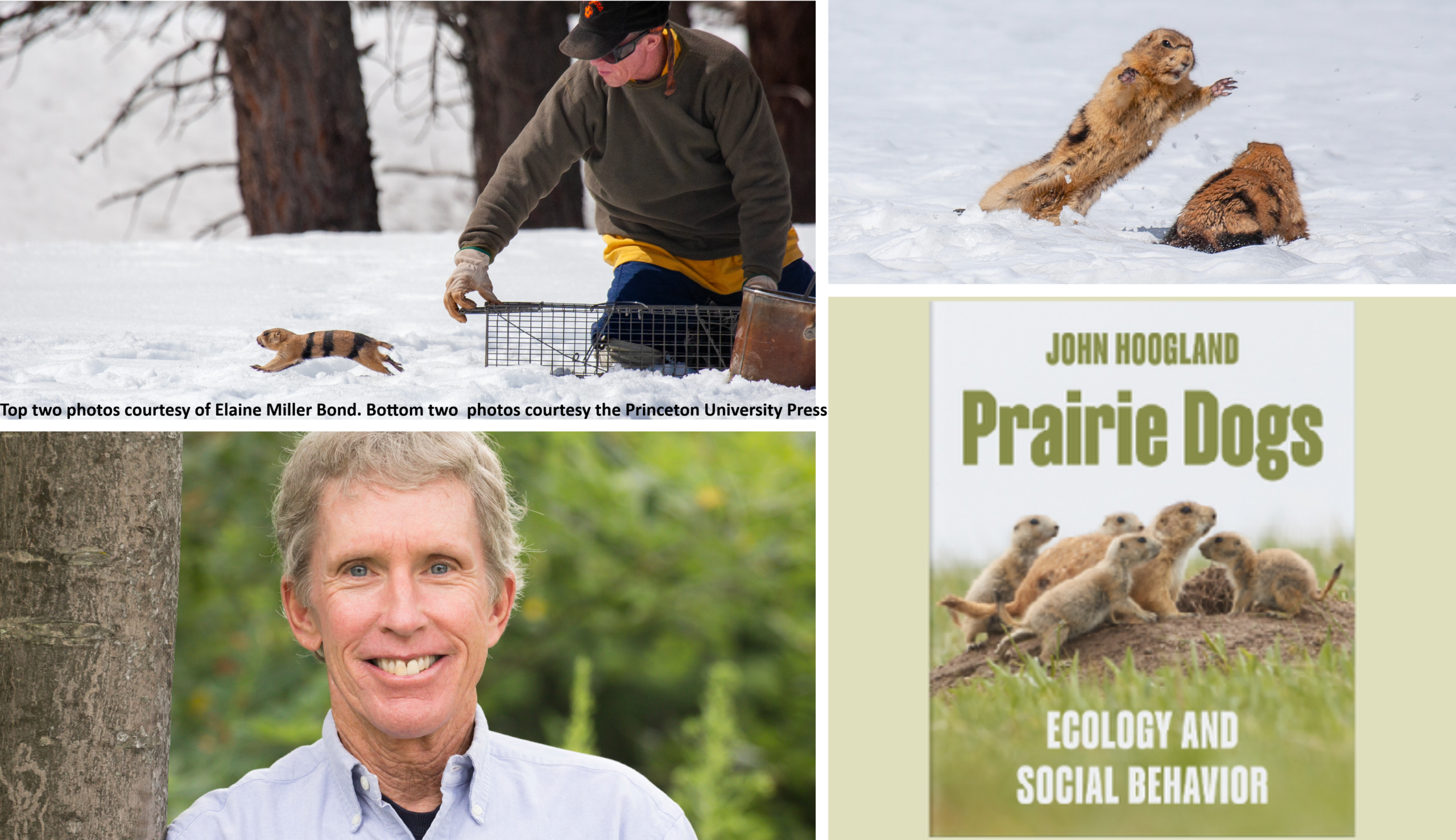 Watershed Moments - 45 Years of Prairie Dog Discoveries with John Hoogland