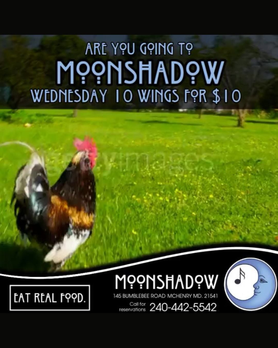 Wednesday 10 Wings for $10 at MoonShadow