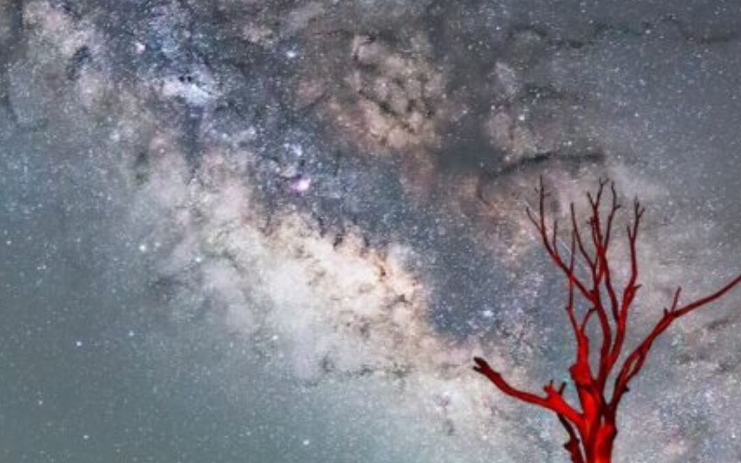 What is the Milky Way? It’s our home galaxy