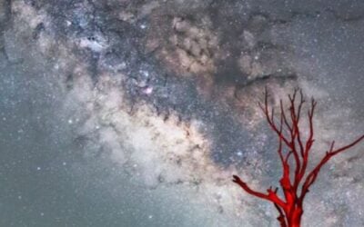 What is the Milky Way? It’s our home galaxy