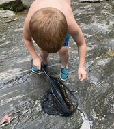 Who Lives in the Stream? at Deep Creek Lake, MD