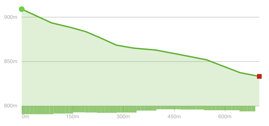 Wisp Resort - North Camp Trails: Ridge Run