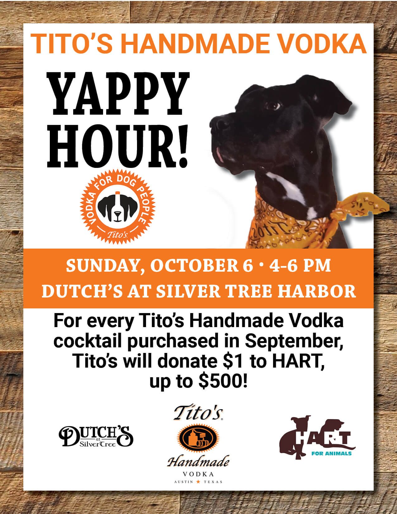 Yappy Hour at Deep Creek Lake, MD