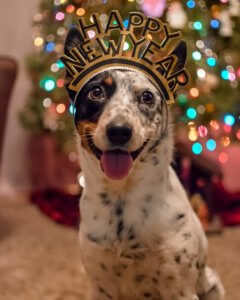 Zoe Spencer New Years Dog at Deep Creek Lake, MD