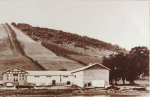 Wisp Resort