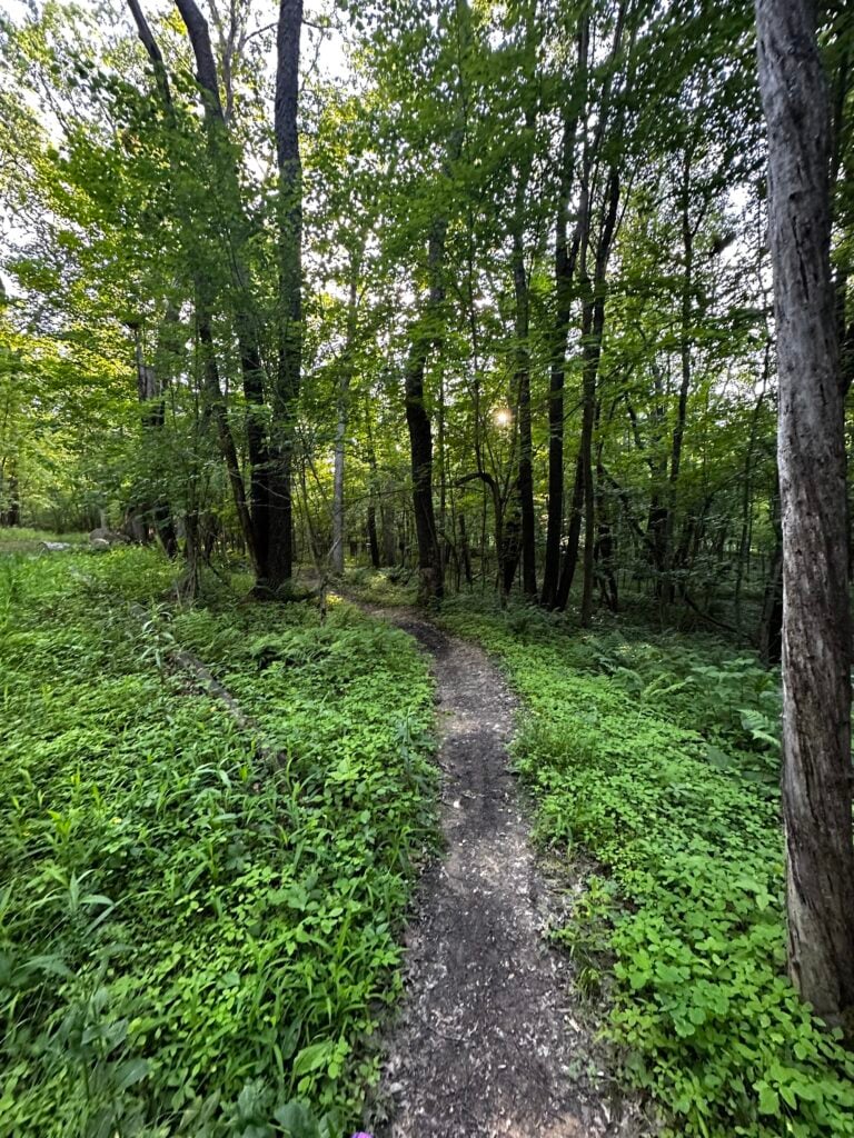 Green singletrack at Broadford Lake Park