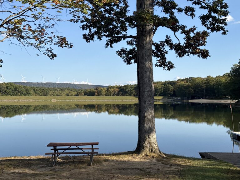 Picnic table by Broadford Lake