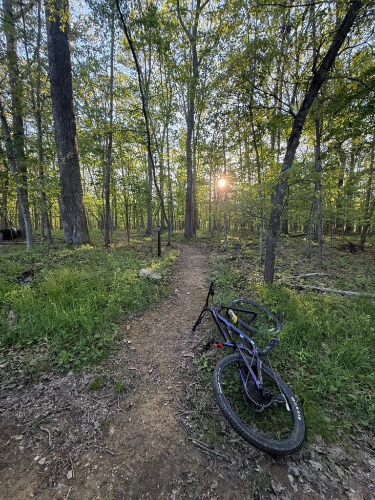 Bike on Broadford singletrack