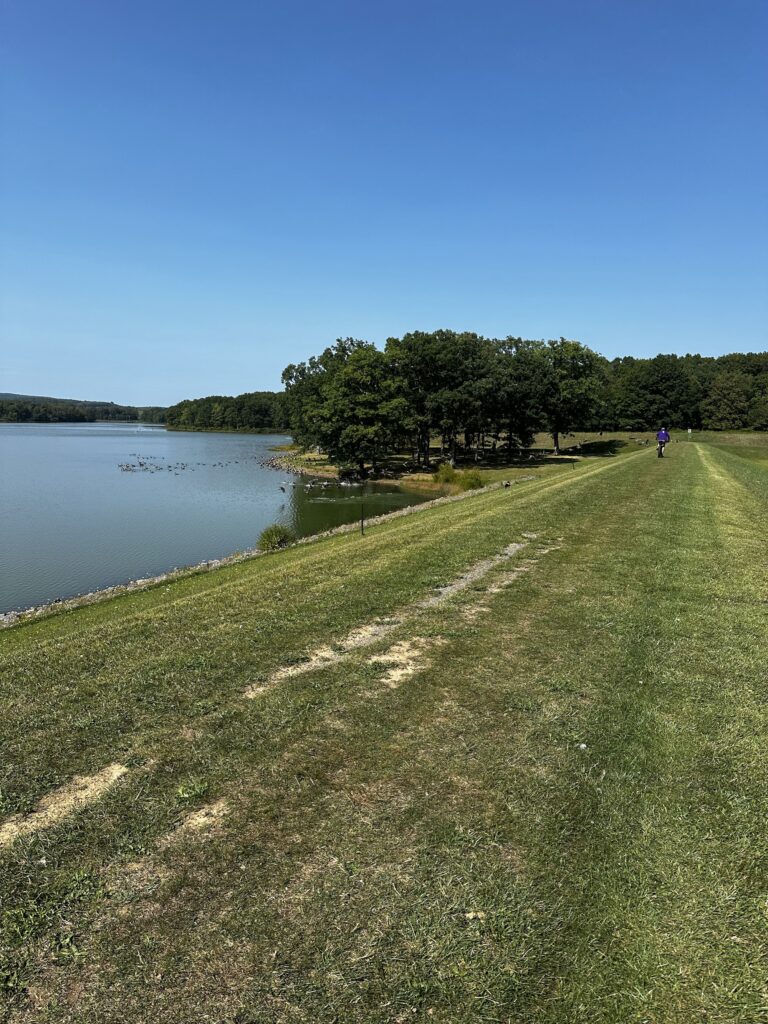 Grassy dam along Broadford Lake