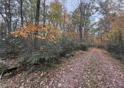 Deep Creek Lake State Park: Cherry Creek Loop
