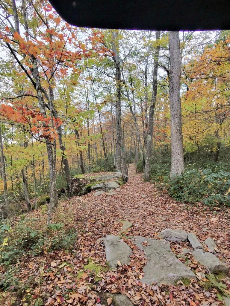 Fall singletrack at Cherry Creek
