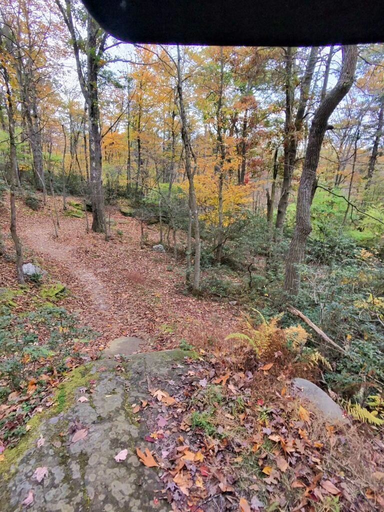 Leaf-covered singletrack at Cherry Creek