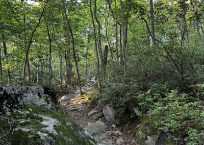 Deep Creek Lake State Park: Cherry Creek Phase 2
