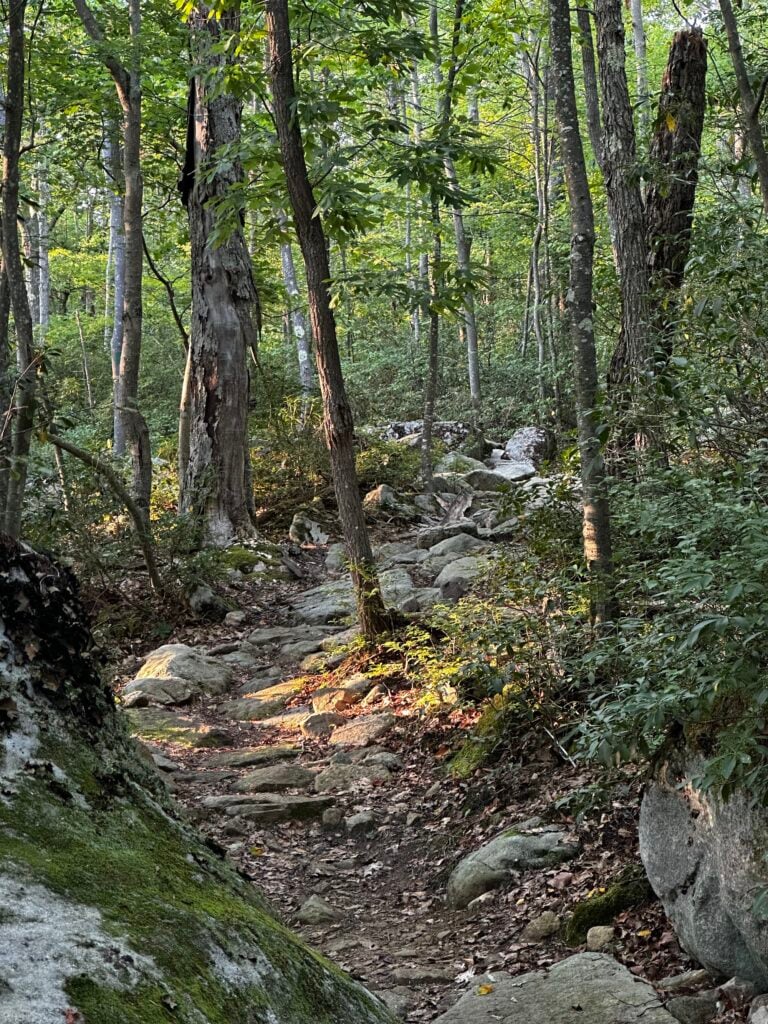 Rocky singletrack at Cherry Creek