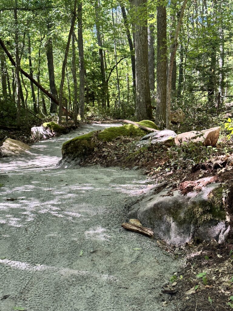Fork Run Recreation Area trail scene – Deep Creek Adventure Bureau