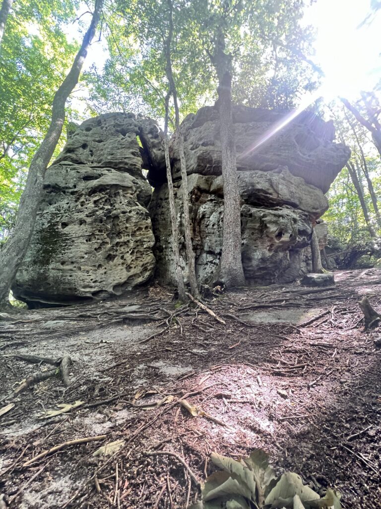 Fork Run Recreation Area trail scene – Deep Creek Adventure Bureau