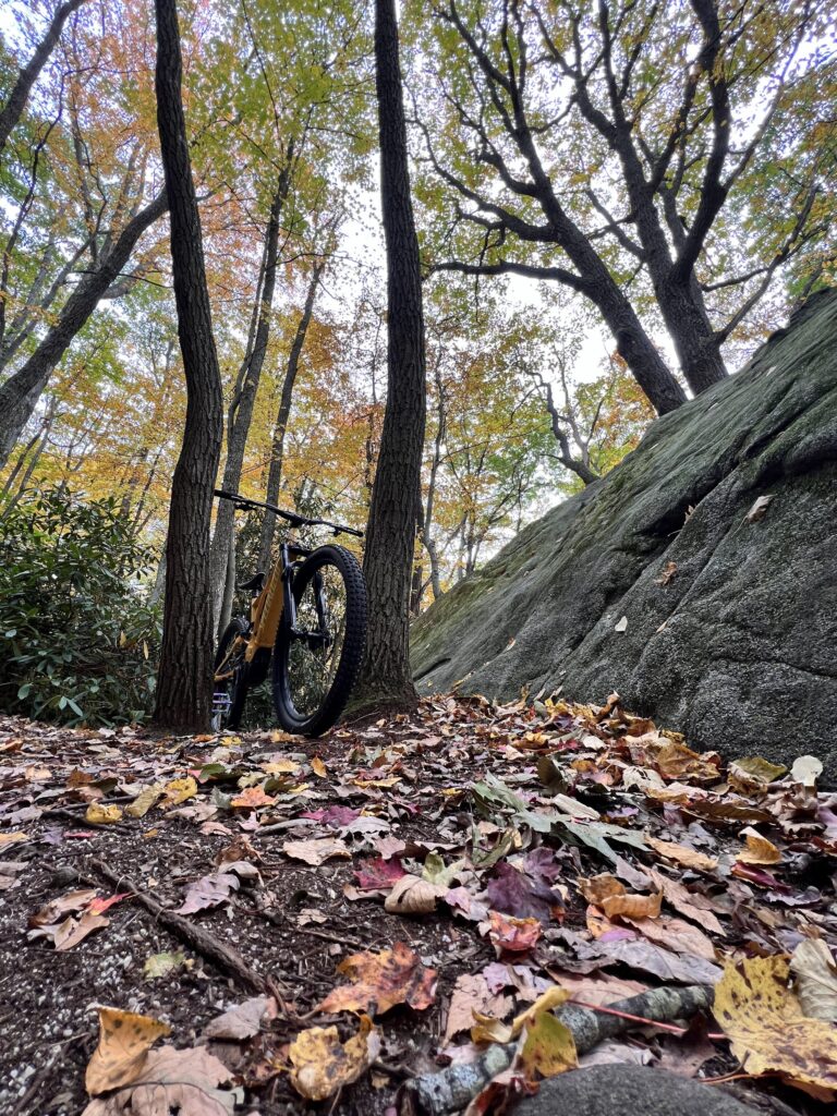 Fork Run Recreation Area trail scene – Deep Creek Adventure Bureau