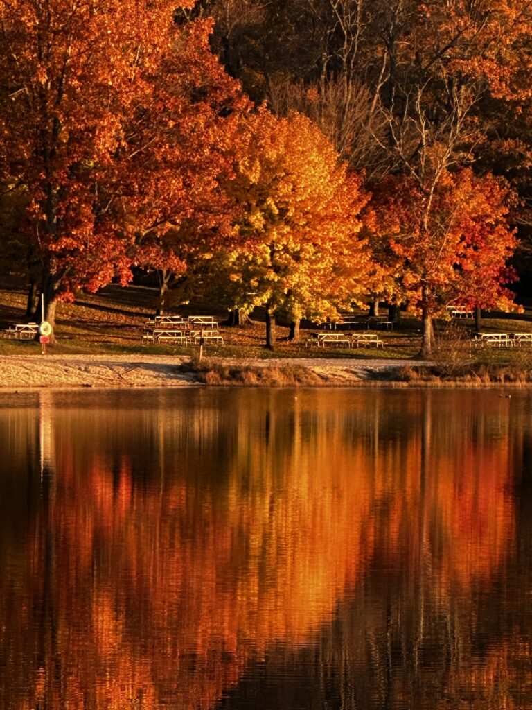 Herrington Manor State Park trail scene – Deep Creek Adventure Bureau