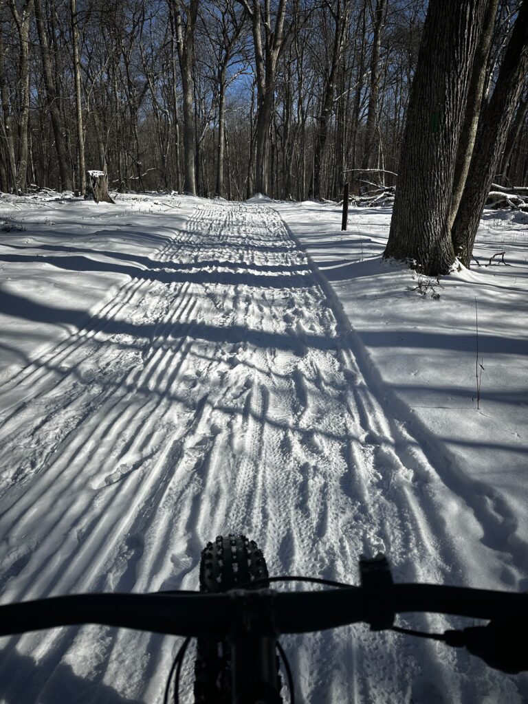 Herrington Manor State Park trail scene – Deep Creek Adventure Bureau