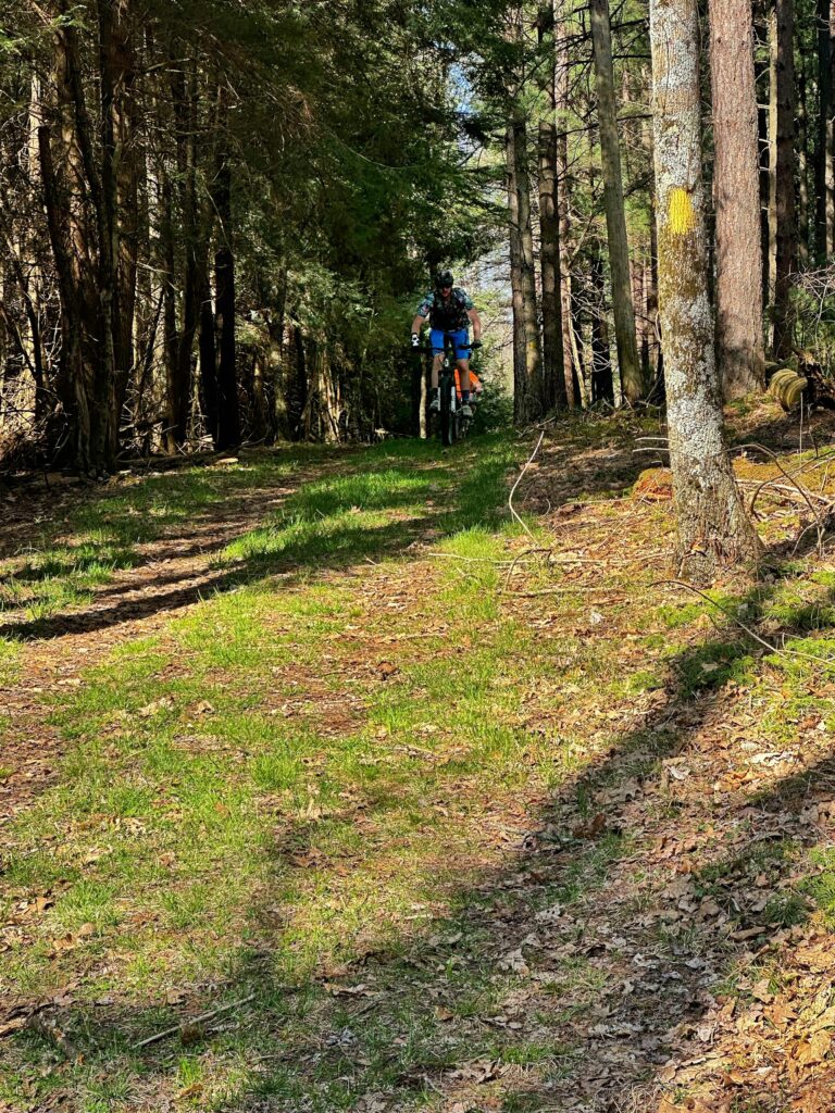 Herrington Manor State Park trail scene – Deep Creek Adventure Bureau