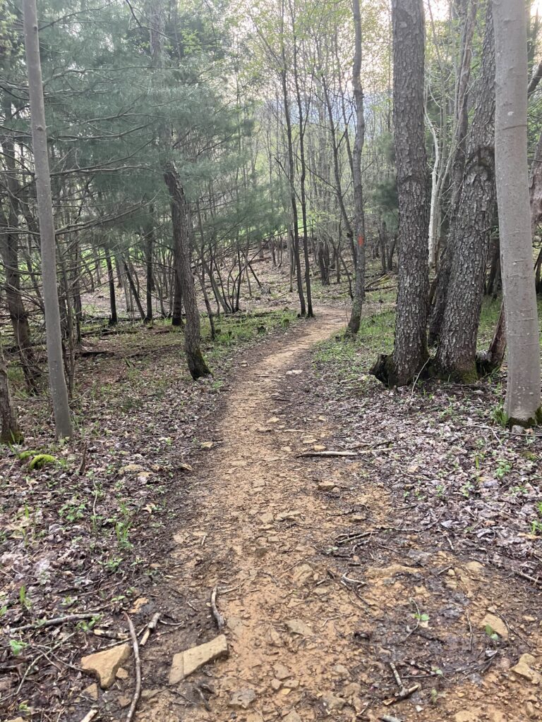 Herrington Manor State Park trail scene – Deep Creek Adventure Bureau