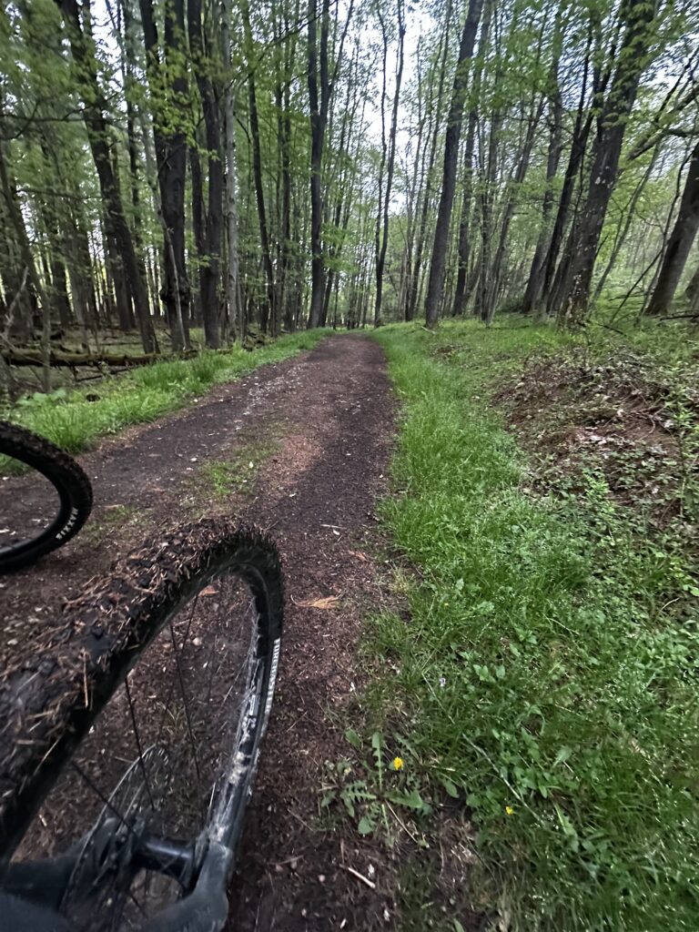 Herrington Manor State Park trail scene – Deep Creek Adventure Bureau